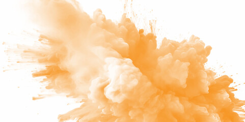 Orange color powder splash on a white background. Orange powder explosion on white background. Rainbow Holi paint color powder explosion with bright colors.	