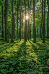 A sun shining through a forest of trees with grass, AI