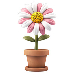 pink gerber daisy