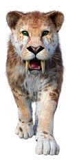 3D Rendering Saber Toothed Tiger on White