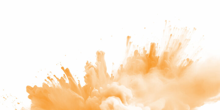 Orange color powder splash on a white background. Orange powder explosion on white background. Rainbow Holi paint color powder explosion with bright colors.	