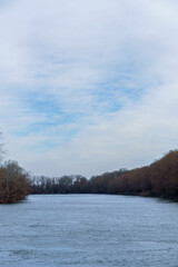 late autumn landscape, forest on the river bank, old trees and withered leaves and grass, cloudy weather