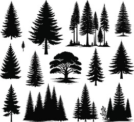 Obraz premium Trees silhouettes. Forest and park pines firs and spruces, coniferous and deciduous trees.