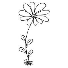 Continuous one line drawing of flower. vector graphic illustration