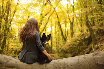 cute border collie puppy dog sitting together with a young woman on a fallen tree in the forest...