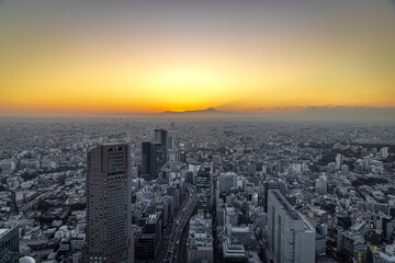 Tokyo city view at sunset