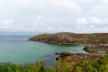 Les fougères se parent de couleurs automnales, sous un ciel couvert, alors que la mer, latente,...