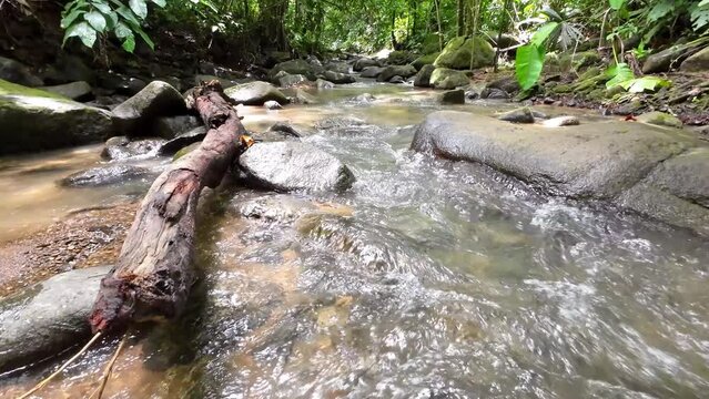 View of a Gentle tracking shot through a picturesque river with gently flowing water and large stones 4K resolution