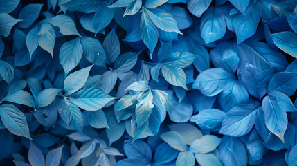 Blue color Leafs in garden background, macro pattern.
