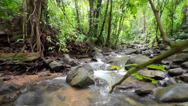 Gentle tracking shot through a picturesque river with majestic waterfall and large stones 4K resolution