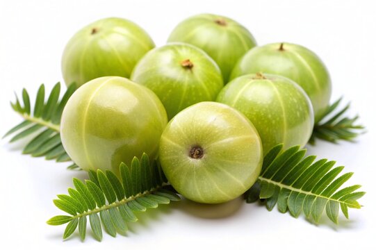 amla ayurvedic on white background