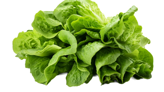 A bountiful pile of fresh lettuce leaves on a pristine white background on transparent background