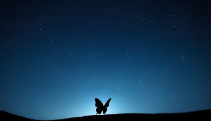 Obraz na płótnie Canvas A Butterfly Silhouette Against A Starry Night Sky Upscaled 7
