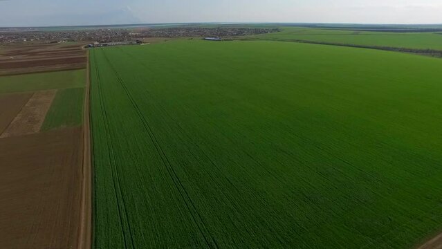 The drone makes panorama over a beautiful green and brown field at a bird's eye view. You can see the horizon line and the blue sky with white clouds.