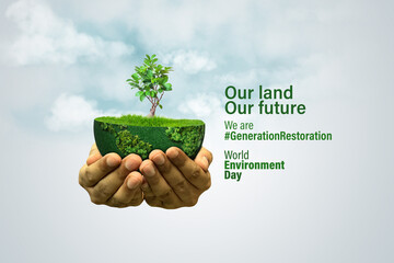 World Environment Day 2024 concept - Land restoration, desertification and drought resilience, 3d tree background. Ecology concept. We are #GenerationRestoration