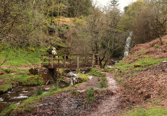 Rivers - Abercynafon Waterfalls