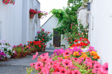 Fototapeta na wymiar 鮮やかな花が道を彩るヨーロッパの観光地