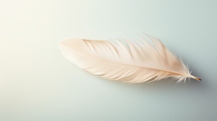 A soft, delicate feather rests on a pale blue background