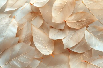 Leaves background. Beige leaves, macro photography, natural background, texture, veins, copy space. Beige Leaves with Veins.