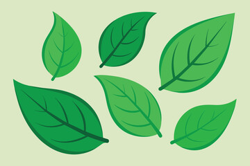 Green Leaves Clipart Set design