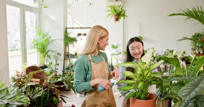 Young adult Asian female employee at the garden center showing plants and lush foliage to a female customer. Two women, a shopkeeper and her employee work together harmoniously and amicably