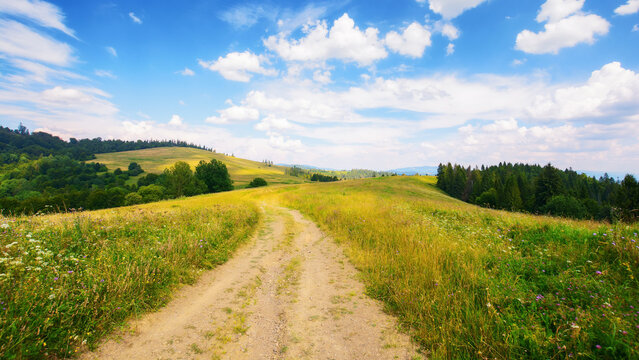 rural road through green meadows on rolling hills. hiking through carpathian rural area. mountain landscape in summer on a sunny day. ridge in the distance