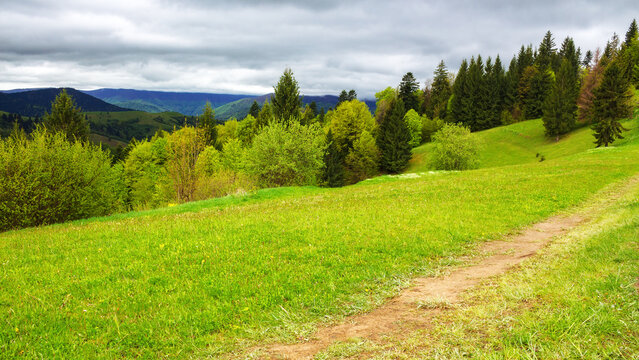 path through the grassy meadow. forested rolling hills. carpathian countryside landscape on a cloudy day in spring