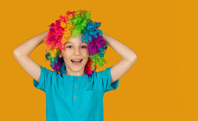 Funny boy in multi-coloured wig. Smiling little boy in clown wig. Happy clown boy with large...
