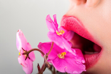Women's lips and red flower. Sensual lips. Woman with rose flower. Closeup sexy female lips with pink lipstick. Close-up female lips with pink flower. Closeup sexy female lip with red color lipstick