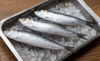 Overhead view of three anchovies on tray filled with ice