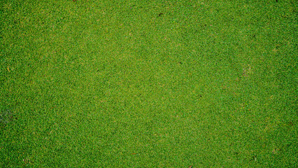 Green grass background, top view background of garden bright grass concept used for making green backdrop