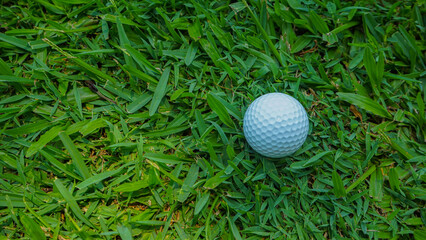 Golf ball is on a green lawn in a beautiful golf course with morning sunshine.
