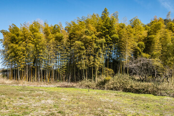 Rural scenery on the Yamanobe no Michi trail, Nara, Japan