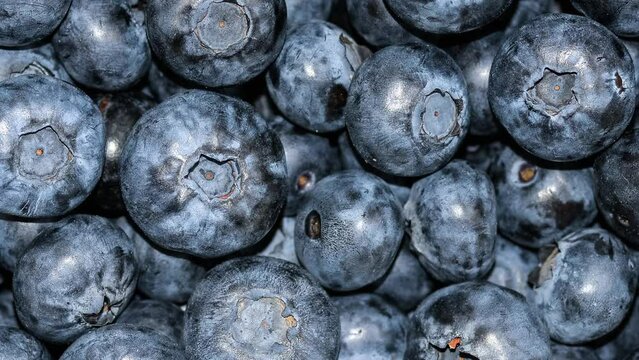 Full HD video of blueberry close up background. Summer berries. Camera scaling on Fresh blueberry square background