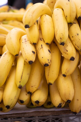 Racimo de plátanos maduros y amarillos 