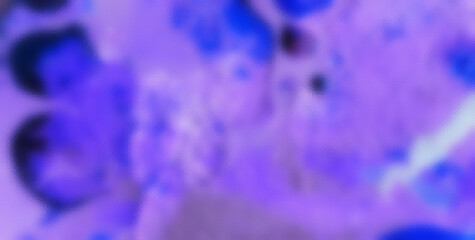 Contemporary Art: Vivid Glassy Spots