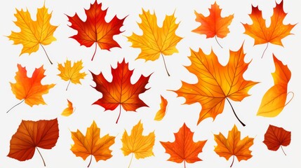 A set of vibrantly colored autumn leaves casting delicate shadows on a white surface, portraying the ephemeral nature of fall