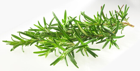 Kräuter-Rosmarin, Rosmarin, Kräuter, Gewürz, isoliert, Küchengewürz, Zweig, 