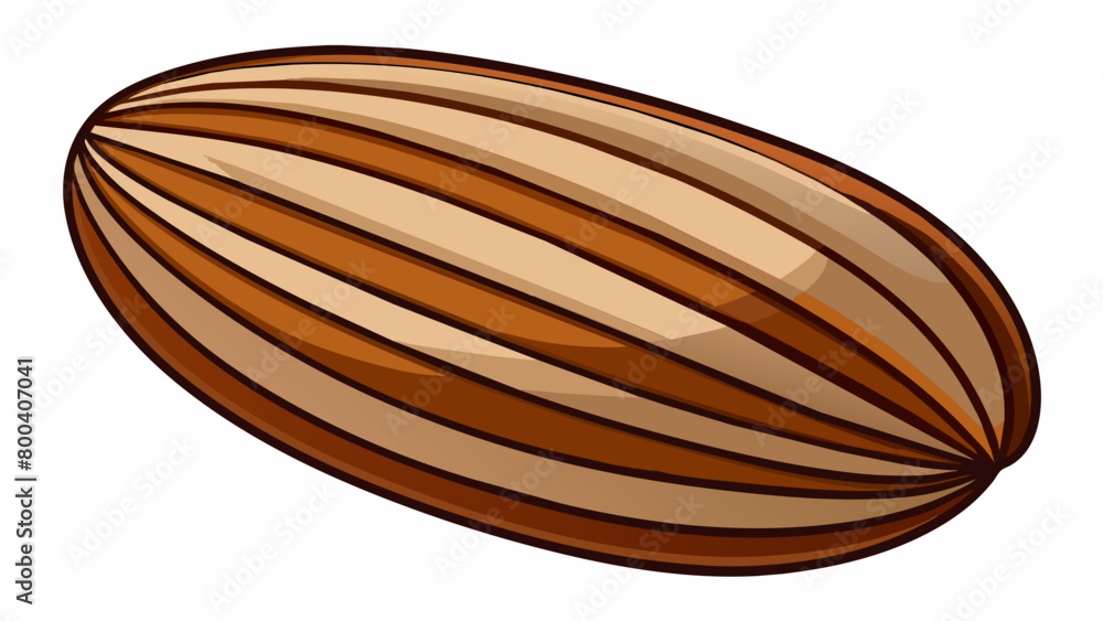 Poster An elongated nut with a striped pattern on its hard glossy shell. The colors range from light brown to dark brown creating a beautiful contrast. The. Cartoon Vector.
