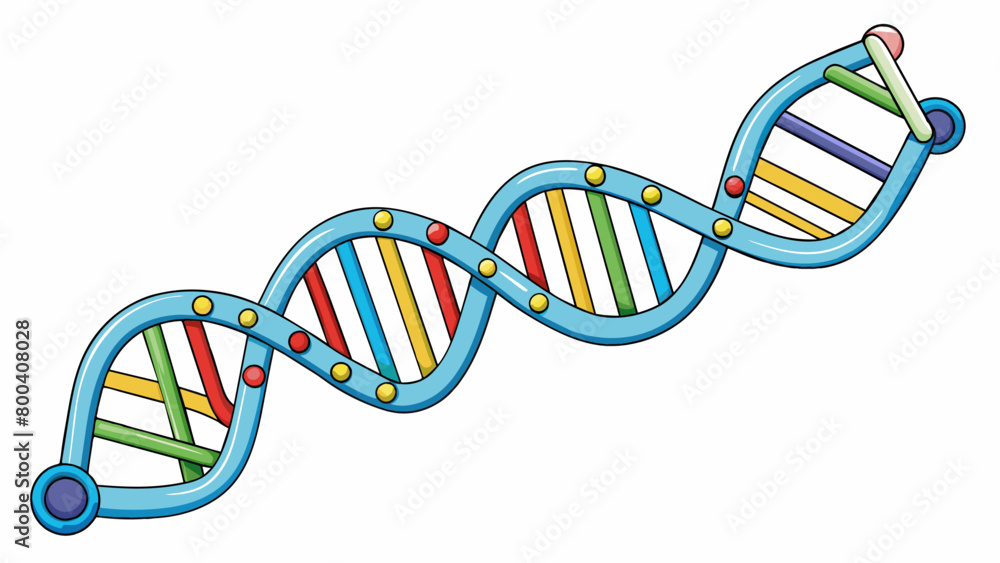 Poster The DNA helix can be likened to a complex zipper with each tooth representing a specific pairing of nitrogenous bases. Just as a zipper holds two. Cartoon Vector.