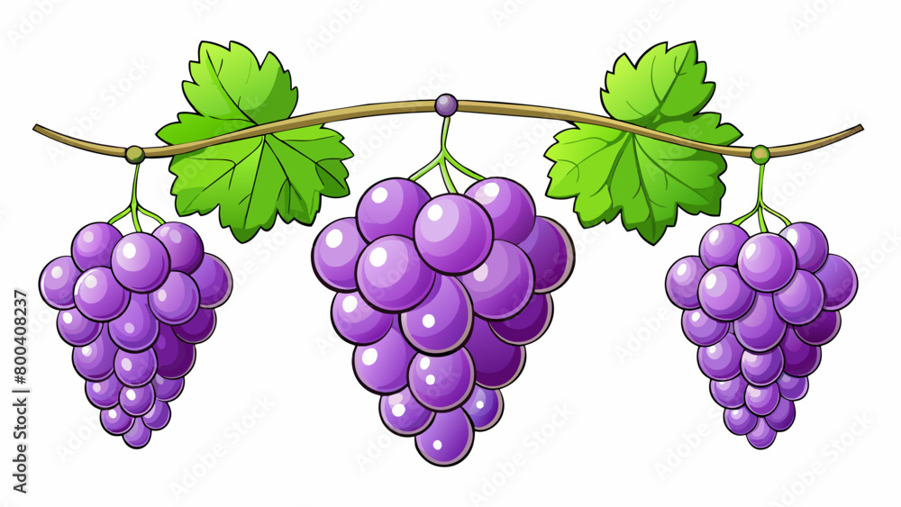 Poster the of gs hung from the vine like a natural ornament each one varying in size and shades of purple a
