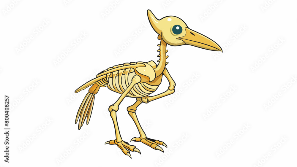 Aufkleber the second illustration shows a bird skeleton with hollow bones for lightness and a sleek streamline