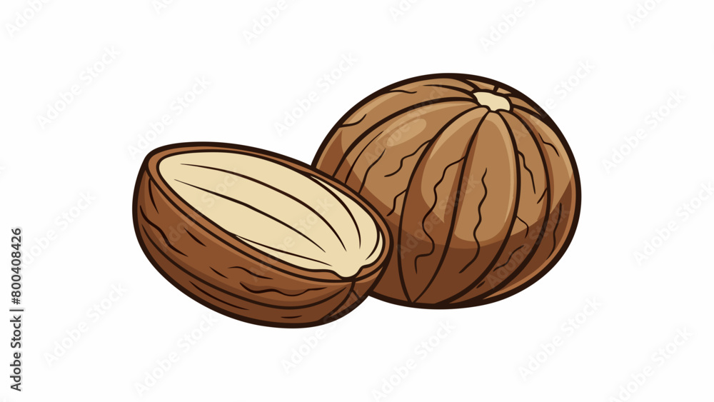 Poster These nutty treats have a compact spherical shape and a deep brown color with a thin but sy outer shell. Inside the pale beige kernel is packed with. Cartoon Vector.