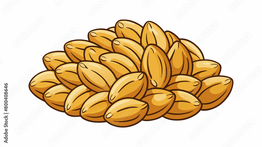 Poster When cooked farro transforms into plump chewy kernels that are slightly nutty in flavor. Each kernel has a distinct oval shape with a firm exterior. Cartoon Vector.
