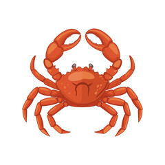 Vector illustration. Crab isolated on white background.