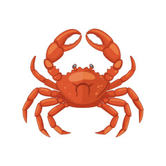 Vector illustration. Crab isolated on white background.