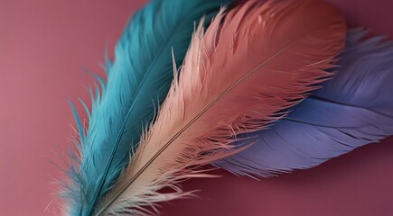  feather on a pink background with a blue