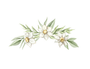 Composition wreath with vintage green twigs, daisies flowers and leaves vegetation composition isolated on white background. Watercolor hand drawn illustration sketch