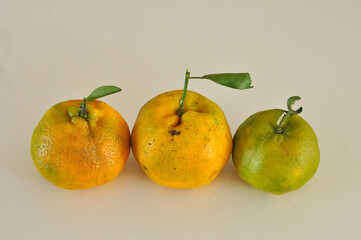 fruta vergamota 
