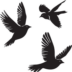 silhouettes of birds